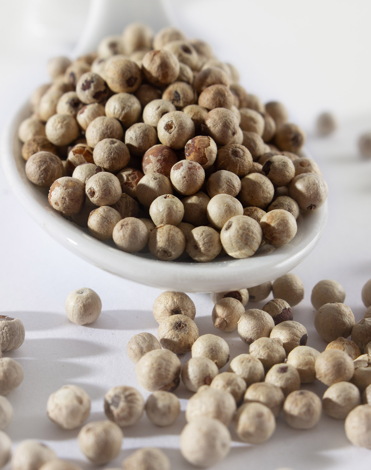 Pfeffer weiß Pfeffer weiß