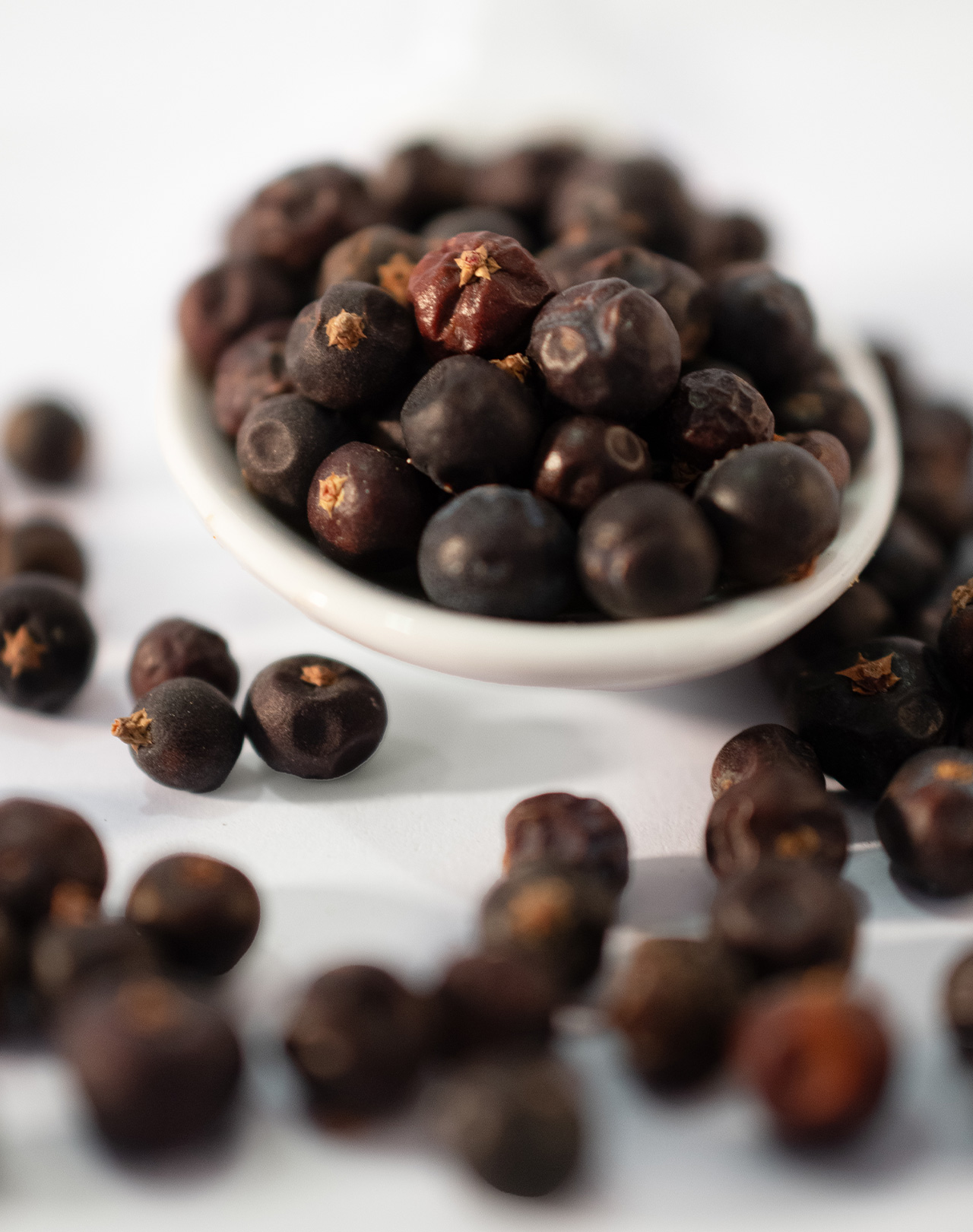 Wacholderbeeren Wacholderbeeren