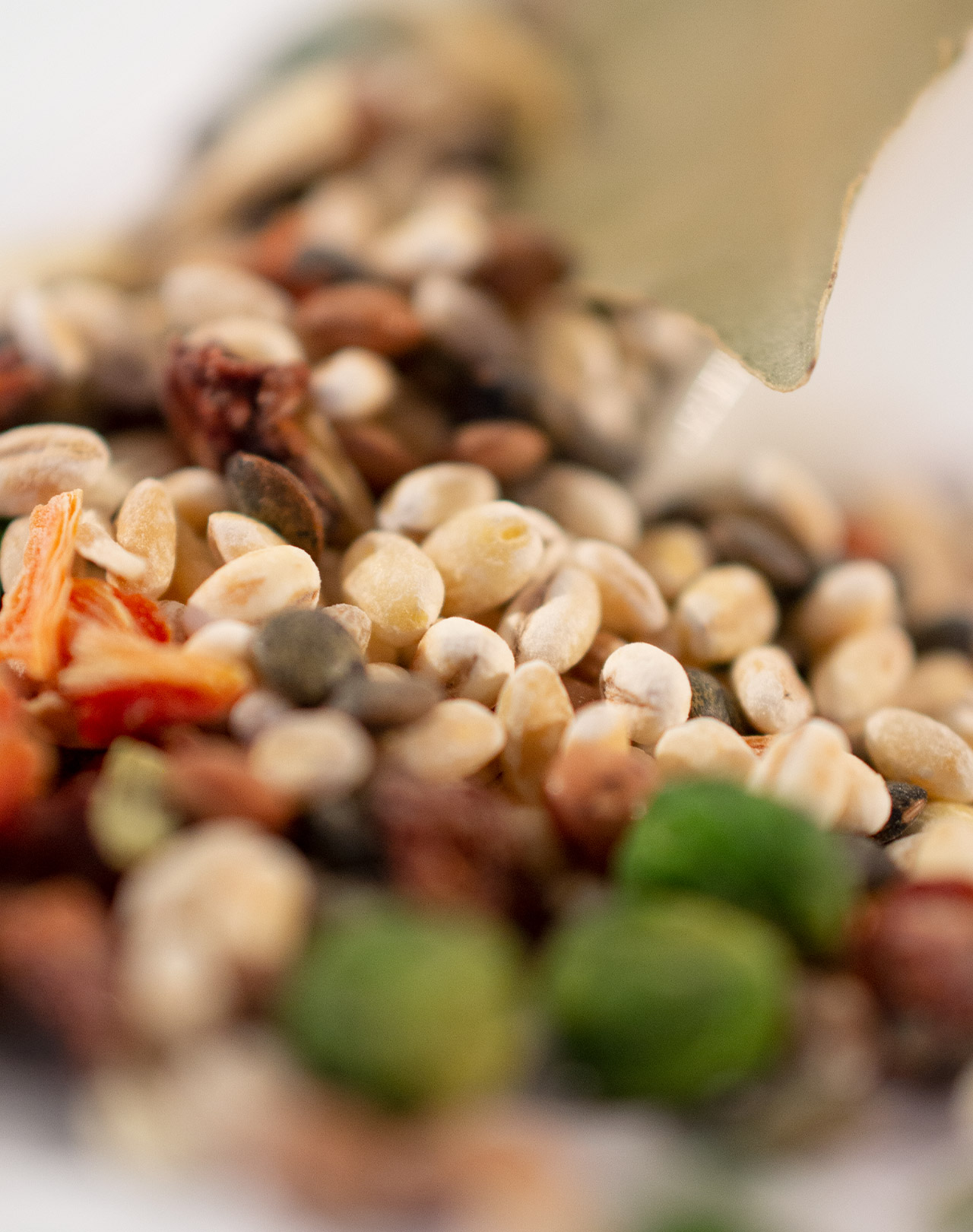 Toskanische Ölmühlensuppe Toskanische Ölmühlensuppe