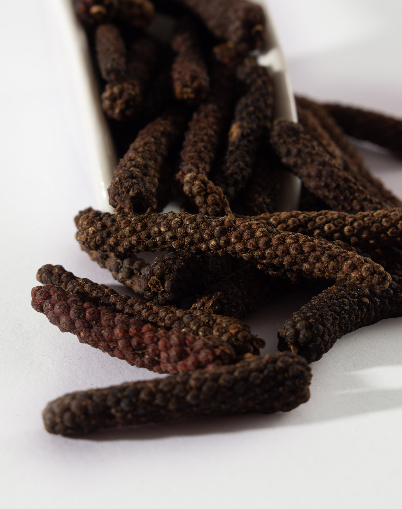 Langer Pfeffer Langer Pfeffer