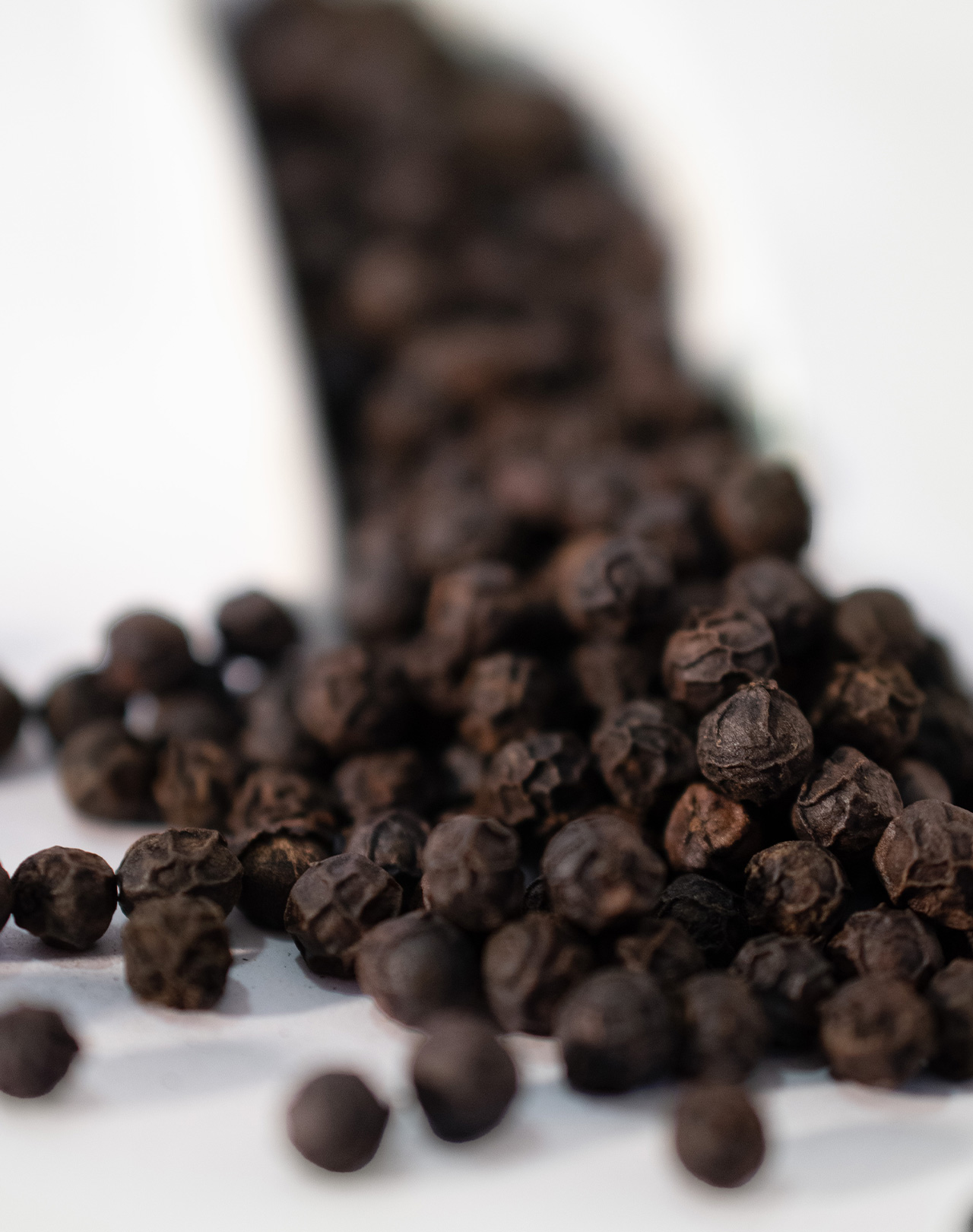 Kampot Pfeffer schwarz Kampot Pfeffer schwarz