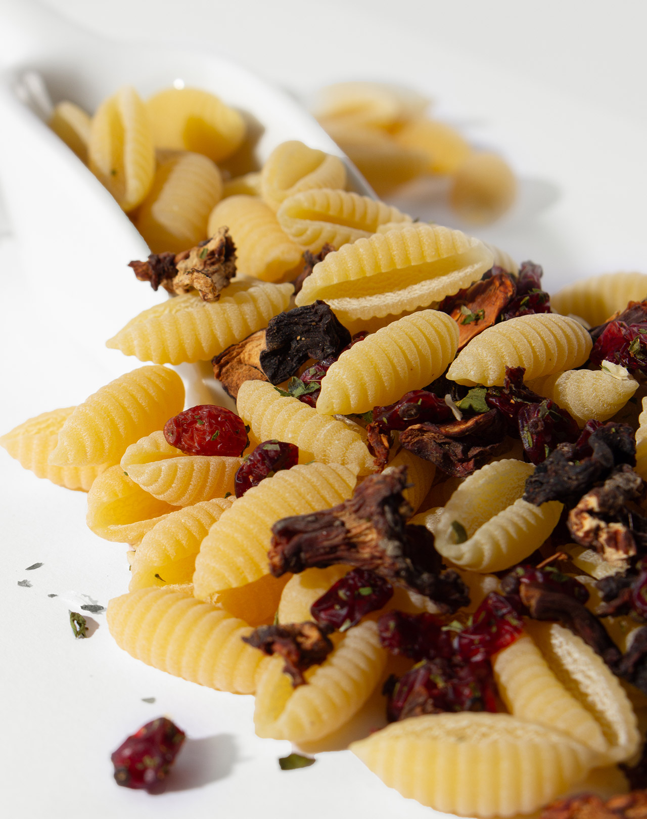 Gnocchetti ai Funghi